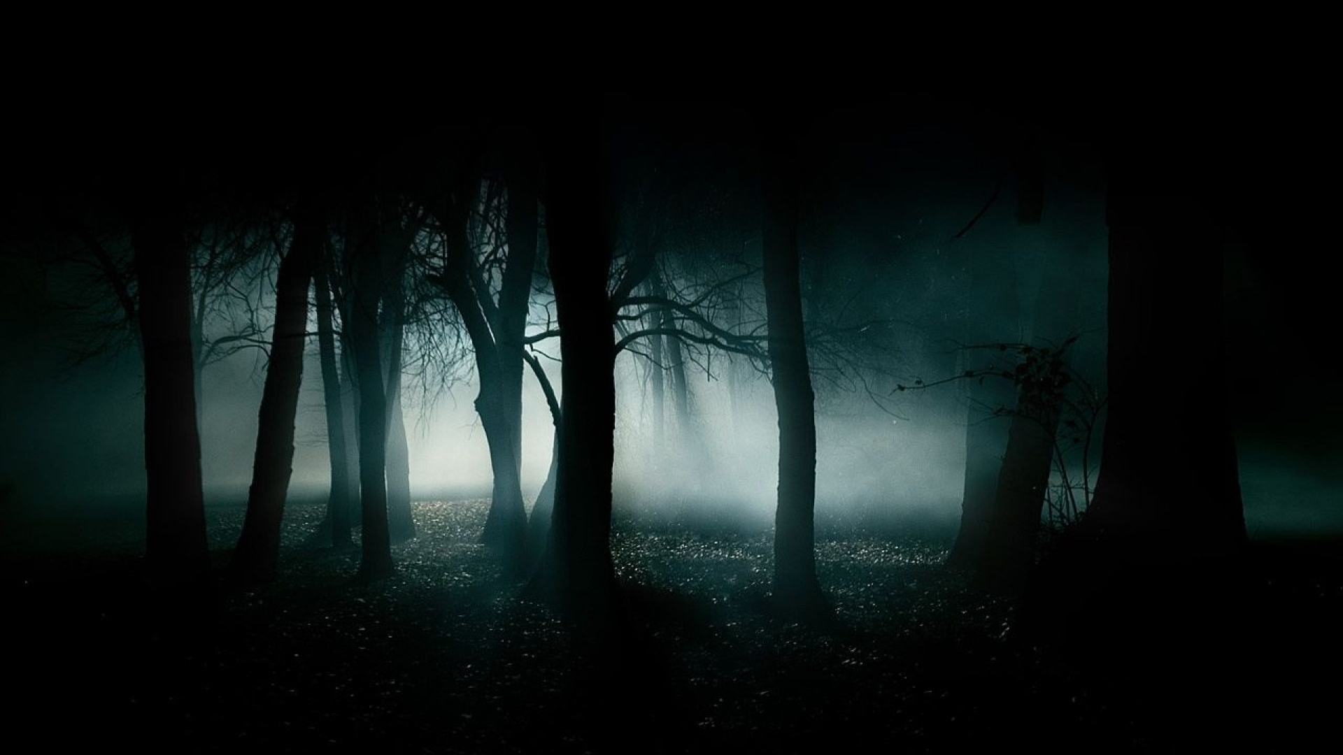 horror-creepy-dark-creepy-forest-high-resolution-wallpaper-for-desktop- background-download-photo-free - VIRTUAALREAALSUS